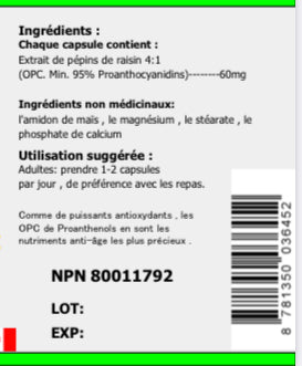 Grape Seed Extract (300 Capsules)