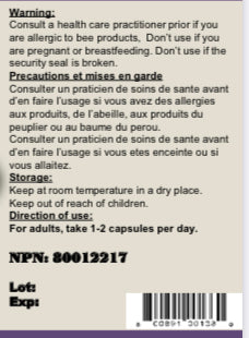 Bee Propolis (200 Capsules)